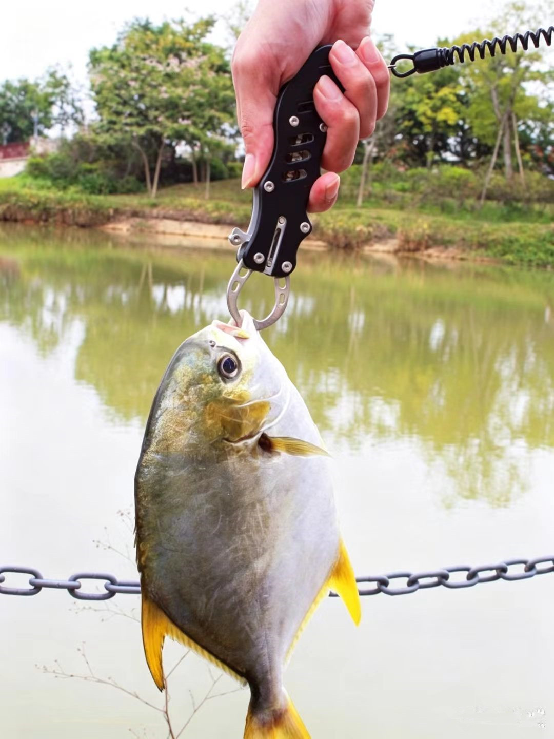 Gunting Baja Tahan Karat Multi - Baitcasting Reel ulasan dan harga